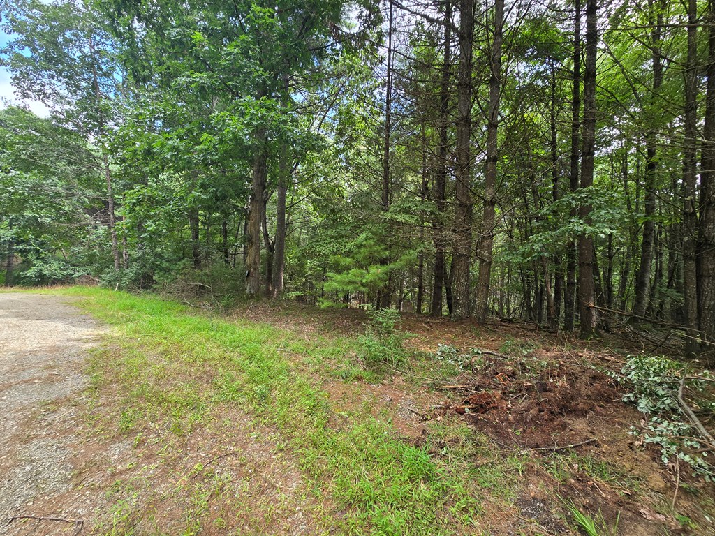 Tbd Summerset Dr. Property Photo 4