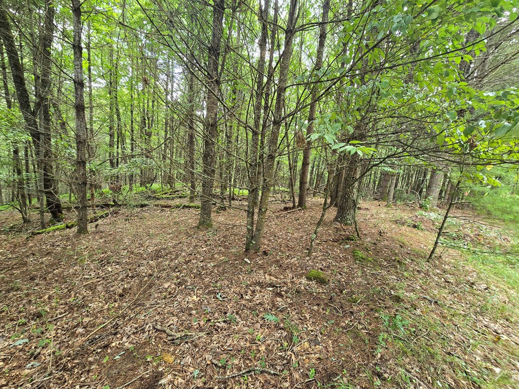 Tbd Summerset Dr. Property Photo 5