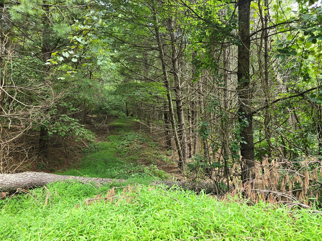Tbd Summerset Dr. Property Photo 7