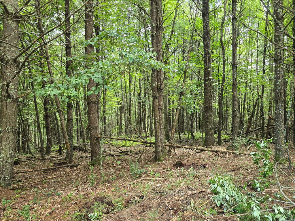 Tbd Summerset Dr. Property Photo 8