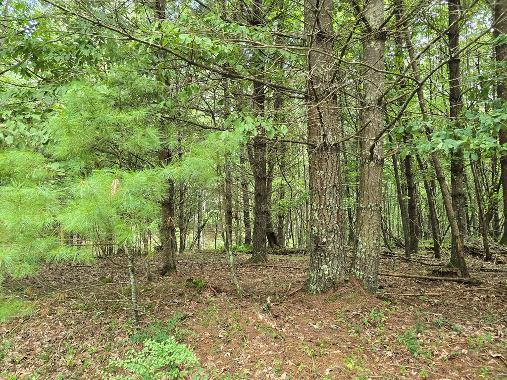 Tbd Summerset Dr. Property Photo 9