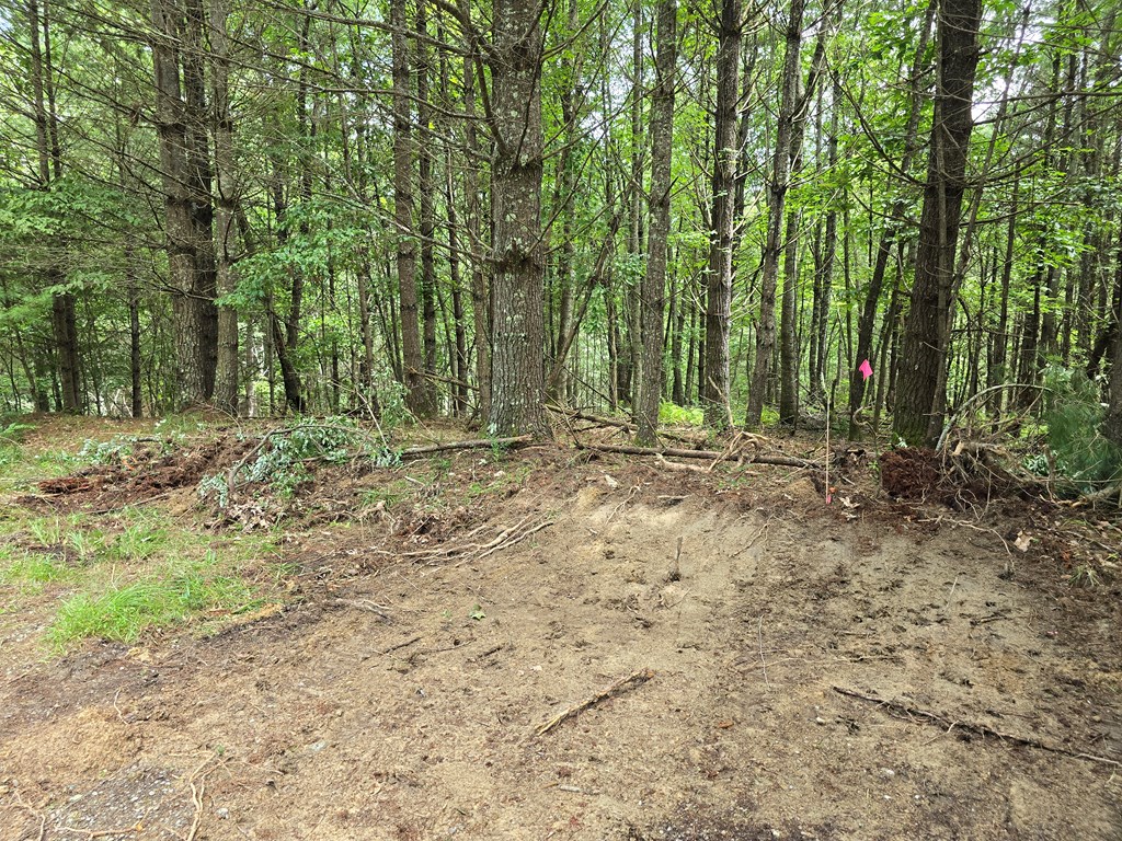 Tbd Summerset Dr. Property Photo 10
