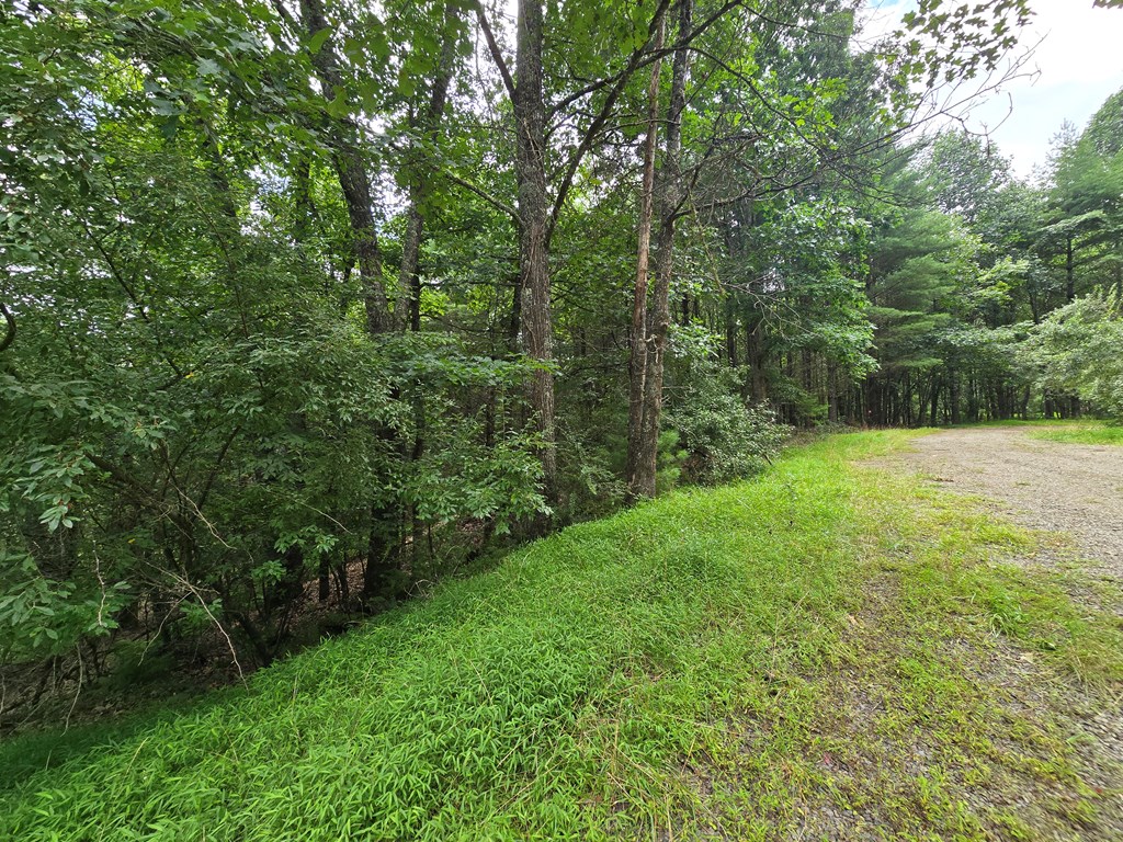 Tbd Summerset Dr. Property Photo 11