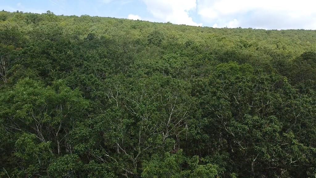 56-a Ridgetop Lane Property Photo 1