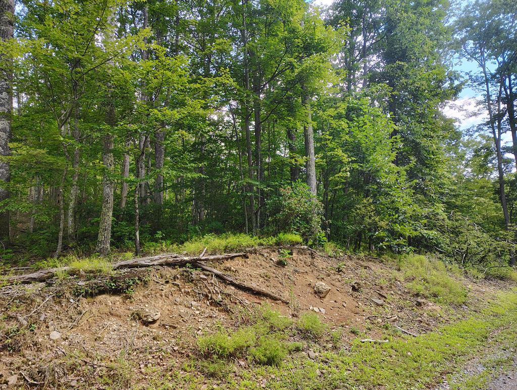 56-a Ridgetop Lane Property Photo 2