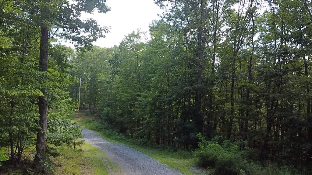 56-a Ridgetop Lane Property Photo 3