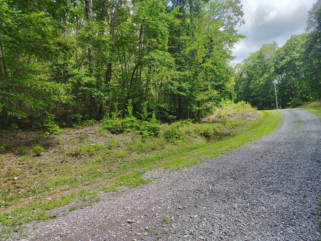 56-a Ridgetop Lane Property Photo 4