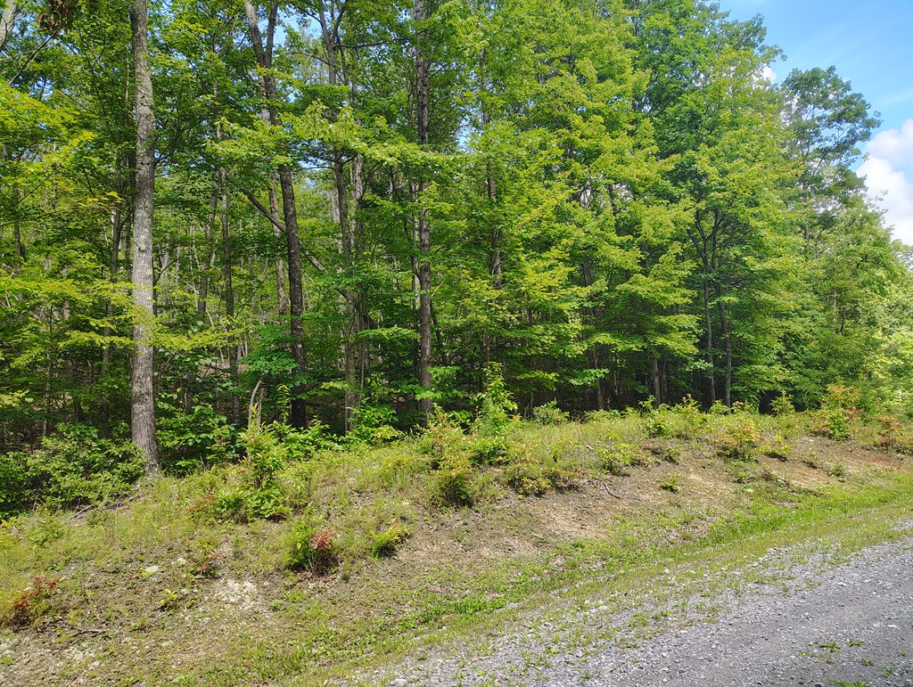 56-a Ridgetop Lane Property Photo 5