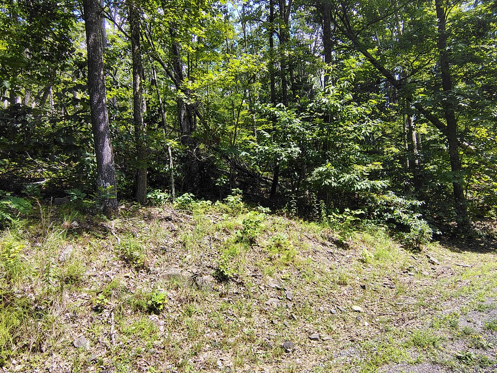 56-a Ridgetop Lane Property Photo 6