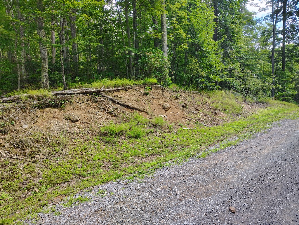 56-a Ridgetop Lane Property Photo 7