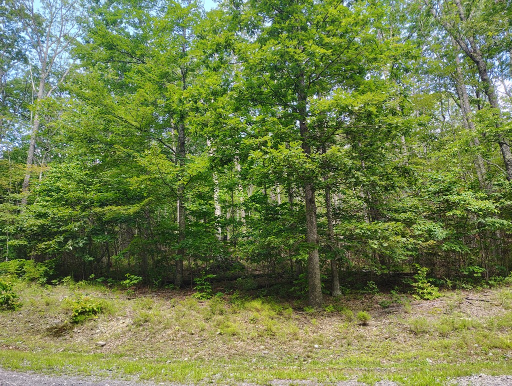 56-a Ridgetop Lane Property Photo 8