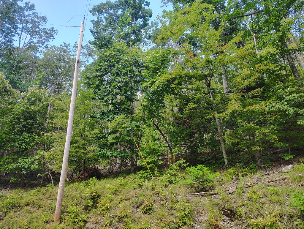 56-a Ridgetop Lane Property Photo 10