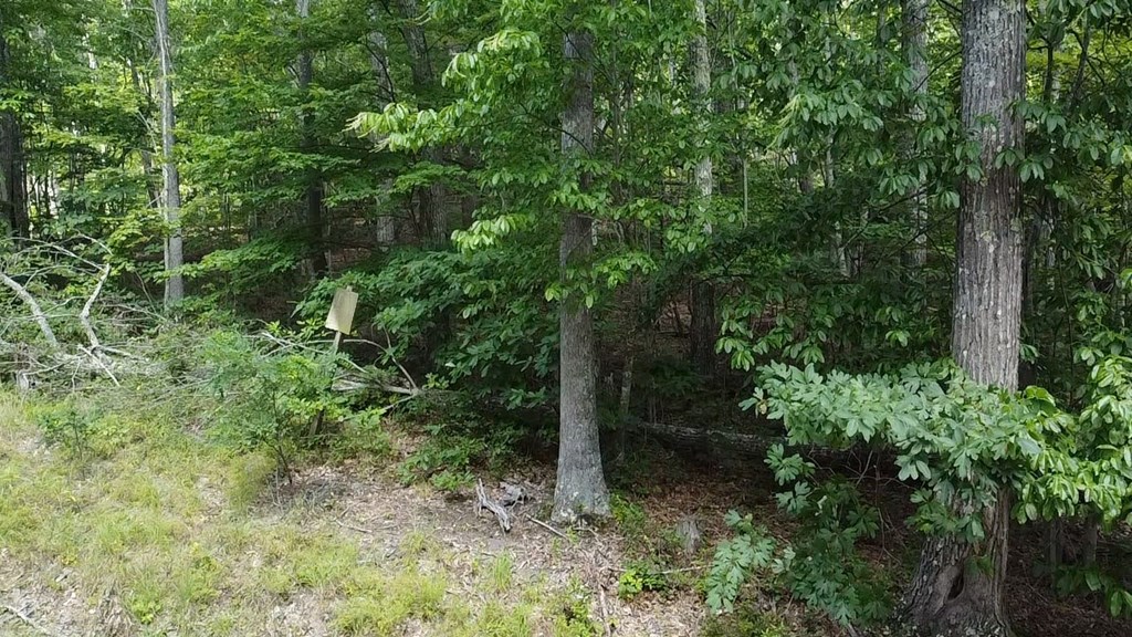 56-a Ridgetop Lane Property Photo 11