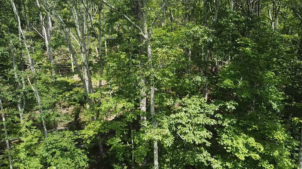 56-a Ridgetop Lane Property Photo 13