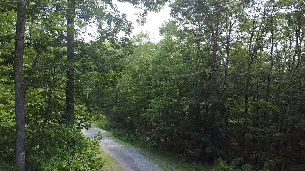 56-a Ridgetop Lane Property Photo 15