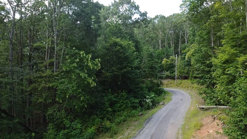 56-a Ridgetop Lane Property Photo 16