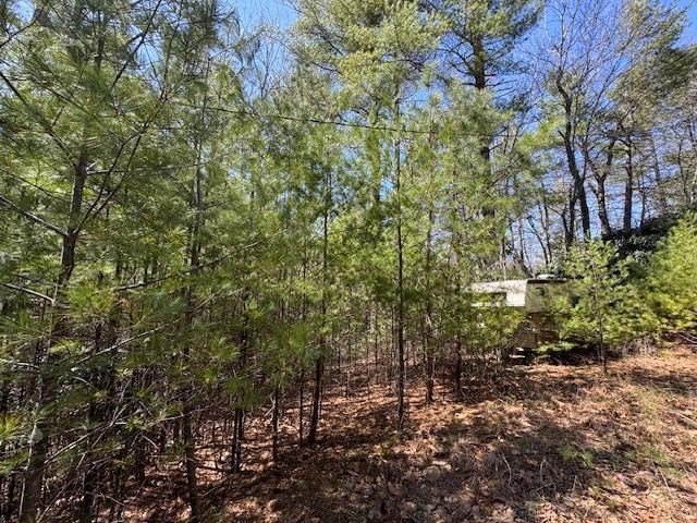 0 Buck Hollow Trail Property Photo 2