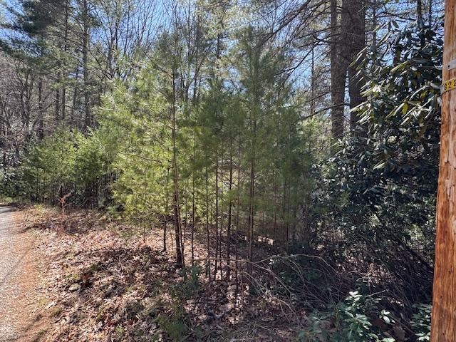 0 Buck Hollow Trail Property Photo 5