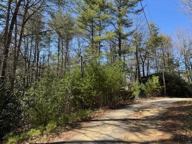 0 Buck Hollow Trail Property Photo 6