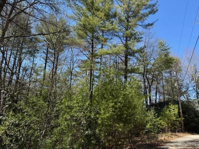 0 Buck Hollow Trail Property Photo 7