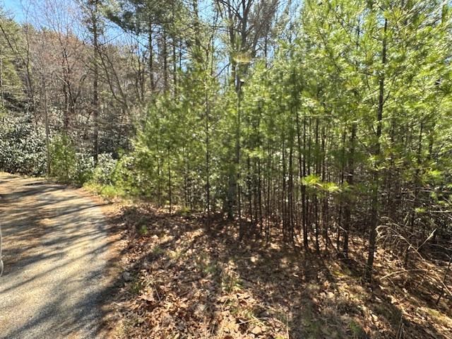 0 Buck Hollow Trail Property Photo 8