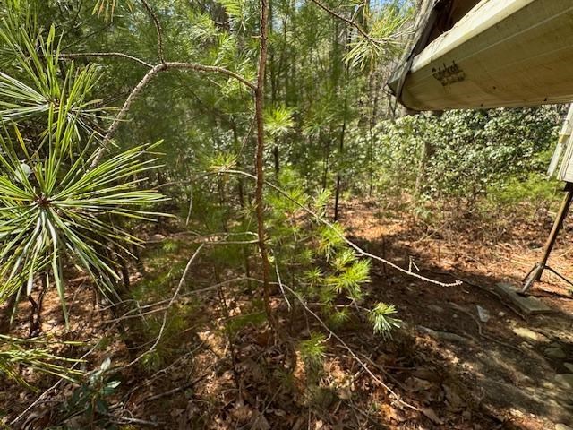 0 Buck Hollow Trail Property Photo 9