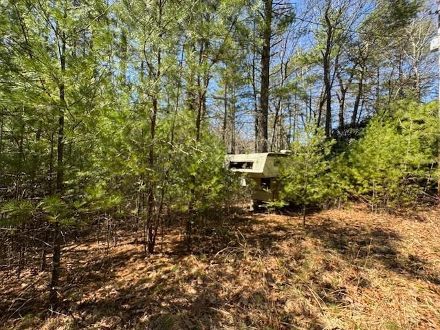 0 Buck Hollow Trail Property Photo 10