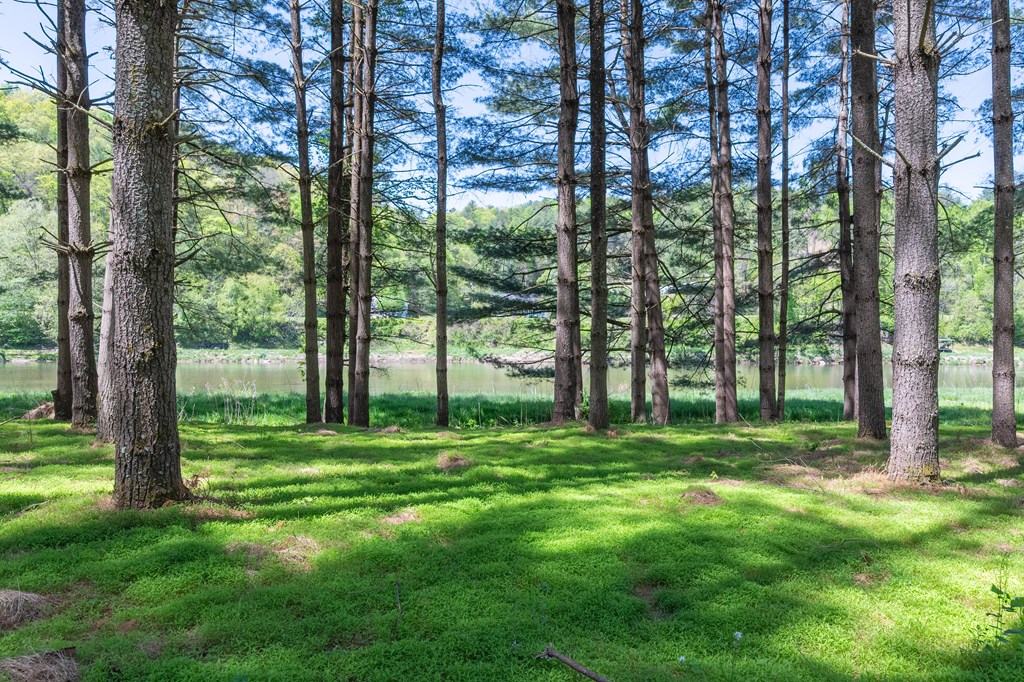 Lot 5 Old Boyer's Ferry Rd. Property Photo 13