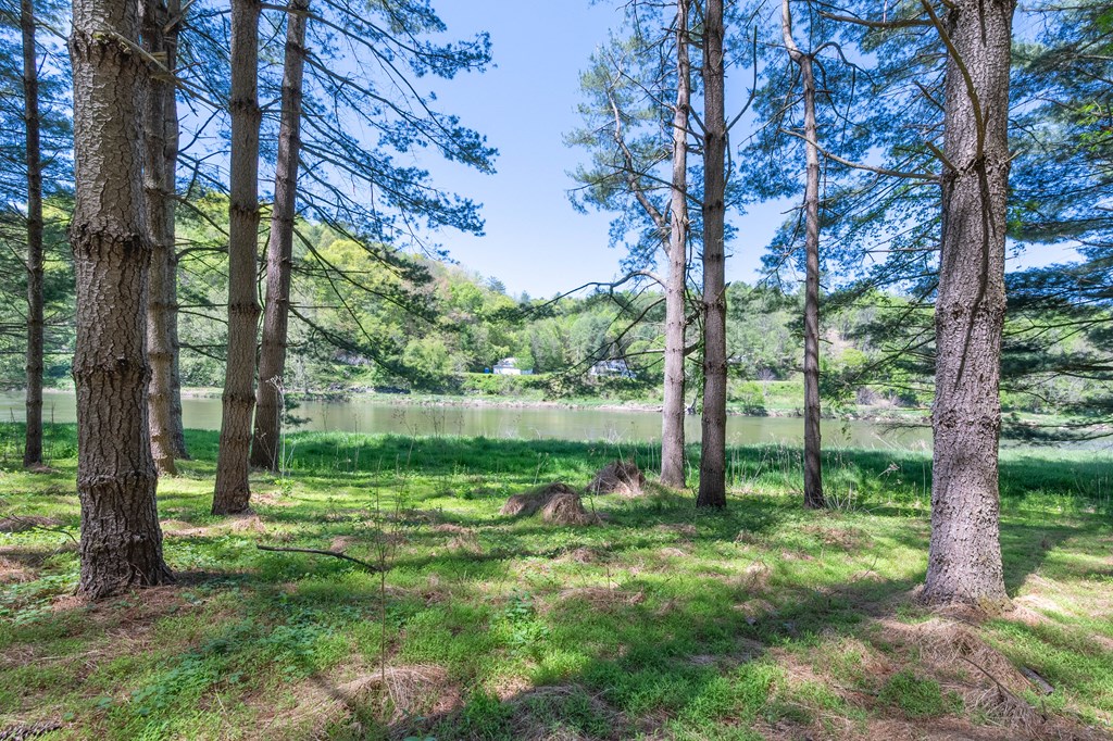 Lot 5 Old Boyer's Ferry Rd. Property Photo 14