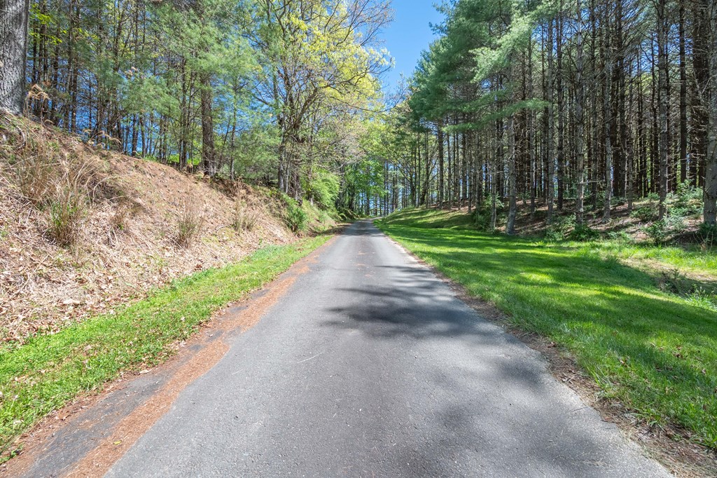 Lot 5 Old Boyer's Ferry Rd. Property Photo 17