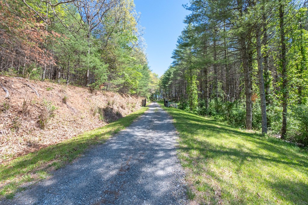 Lot 5 Old Boyer's Ferry Rd. Property Photo 19