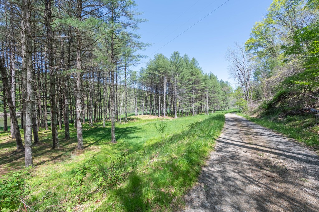 Lot 5 Old Boyer's Ferry Rd. Property Photo 23