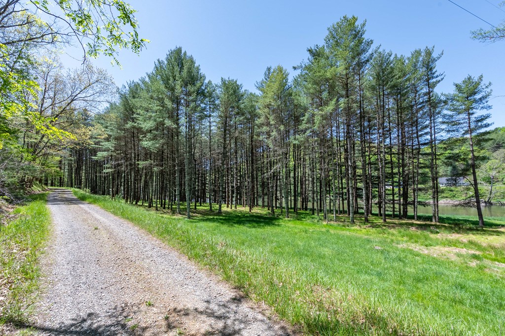 Lot 5 Old Boyer's Ferry Rd. Property Photo 24