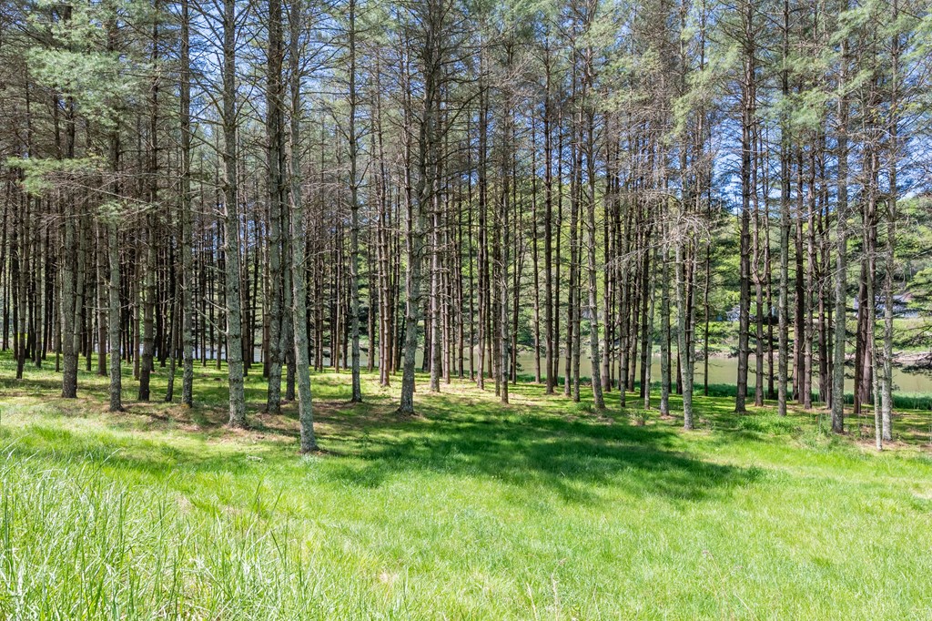 Lot 5 Old Boyer's Ferry Rd. Property Photo 25