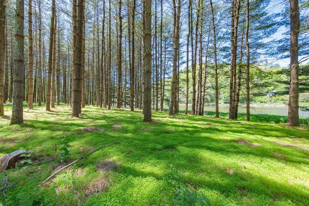 Lot 5 Old Boyer's Ferry Rd. Property Photo 26