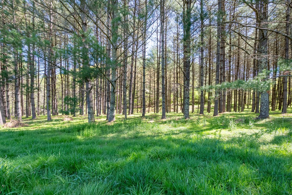 Lot 5 Old Boyer's Ferry Rd. Property Photo 28