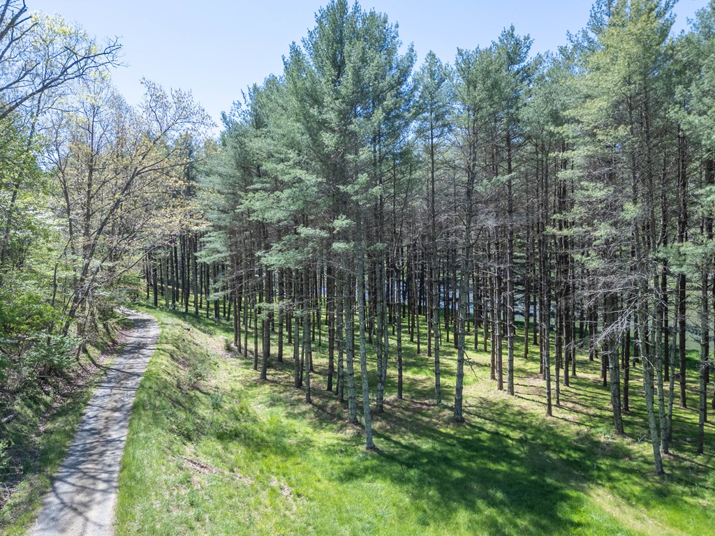 Lot 5 Old Boyer's Ferry Rd. Property Photo 29