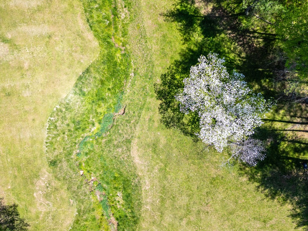 Lot 5 Old Boyer's Ferry Rd. Property Photo 45