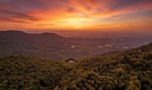 Tbd Old Mill Court Property Photo 1