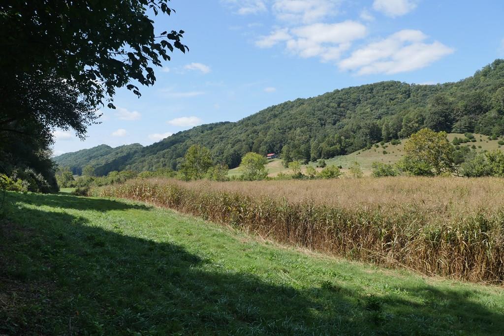 TBD Shoals Lane