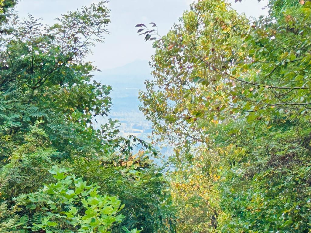 Tbd Morning Side Trail Property Photo 1