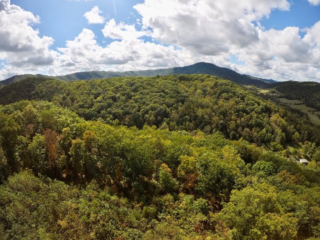 TBD Hogan Hollow Rd