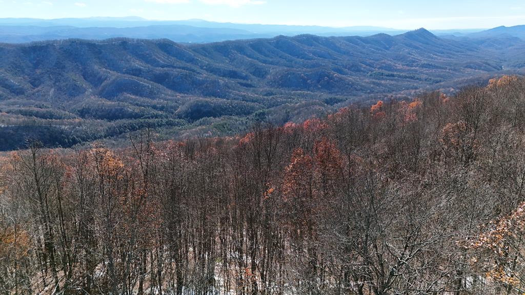 Tbd Nebo Mountain Rd. Property Photo 1