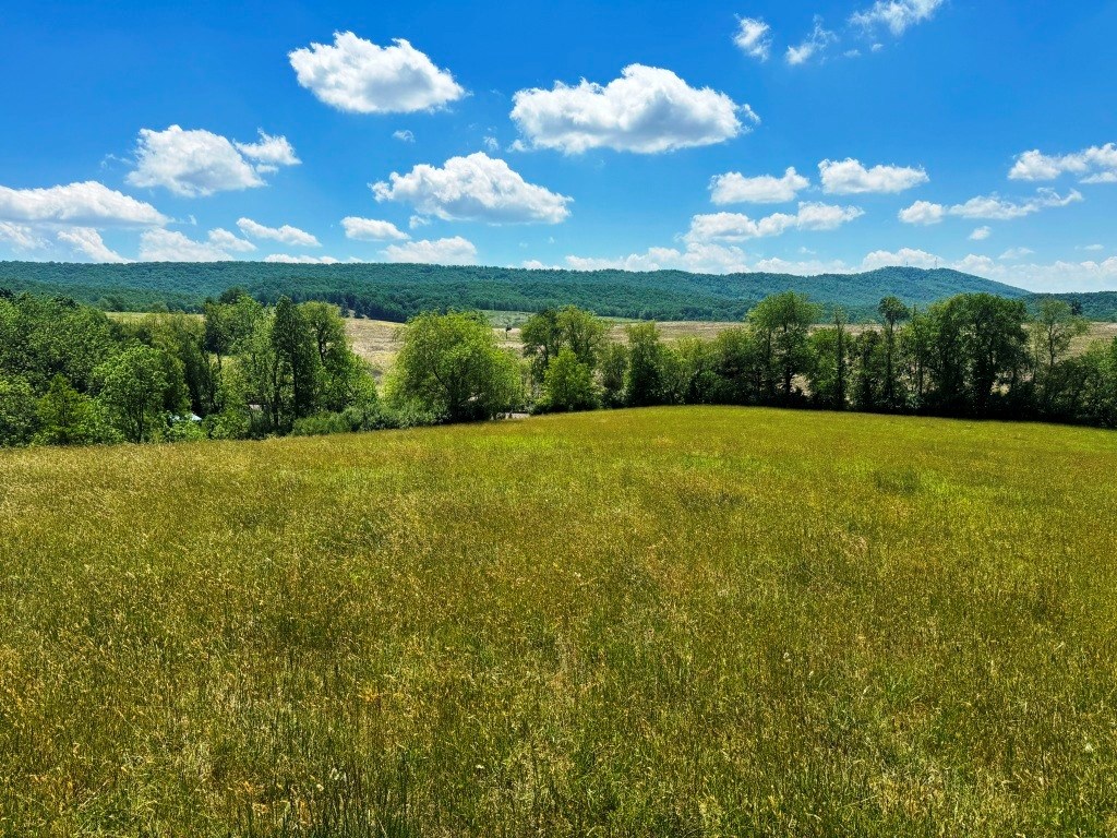 85 Acre Coffey Rd Property Photo 2