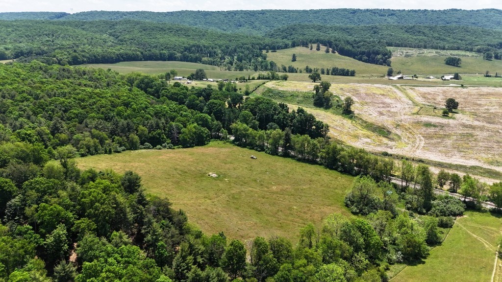 85 Acre Coffey Rd Property Photo 6