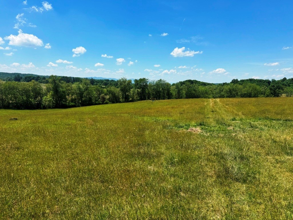 85 Acre Coffey Rd Property Photo 17