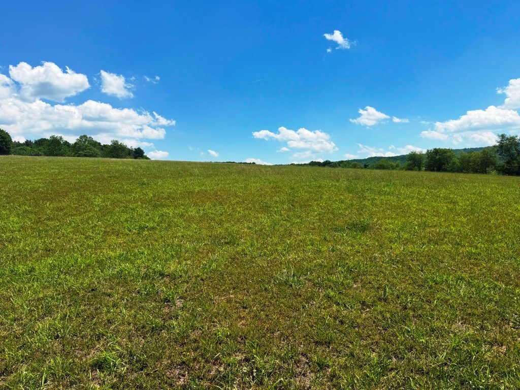 85 Acre Coffey Rd Property Photo 21
