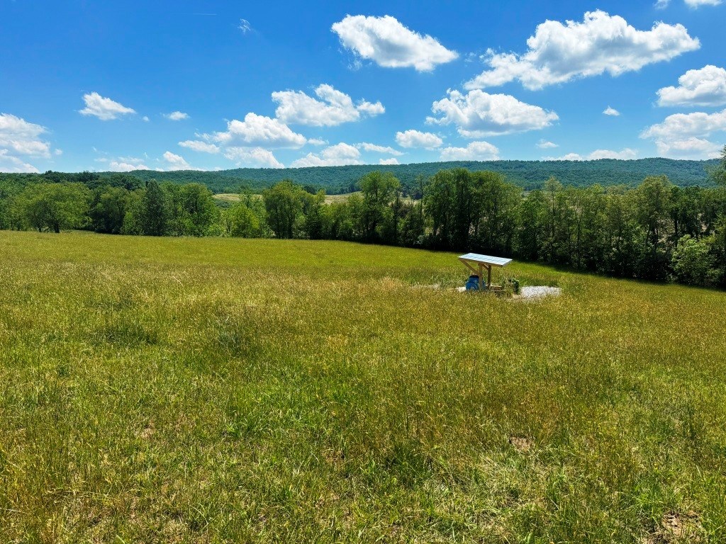 85 Acre Coffey Rd Property Photo 22