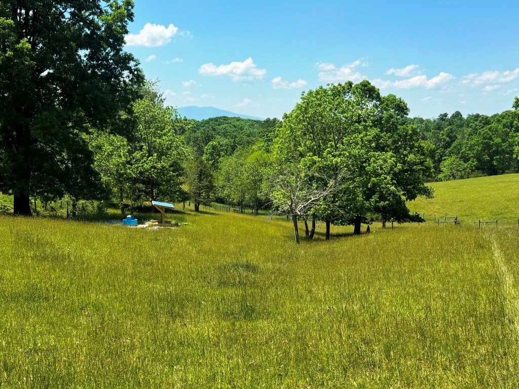 85 Acre Coffey Rd Property Photo 25