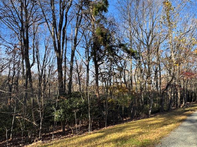 TBD Crooked White Oak Tr